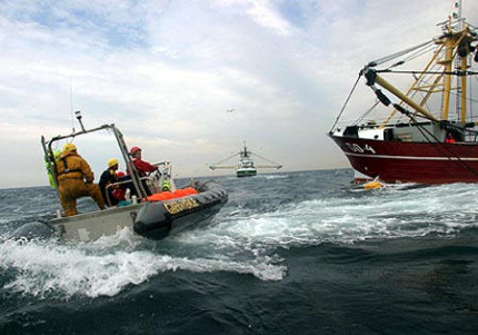 Redmore trawlers on Dogger Bank